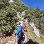 Utrinek s poti Kriška planina – Kalški greben – Vrh Korena – Zvoh – Krvavec