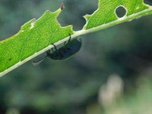 FormatFactoryDSCN2142