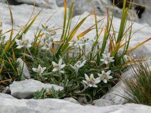 FormatFactoryDSCN4559