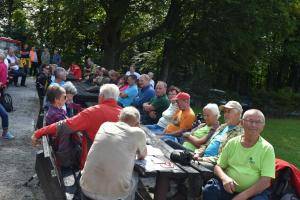 FormatFactoryDSC 9501