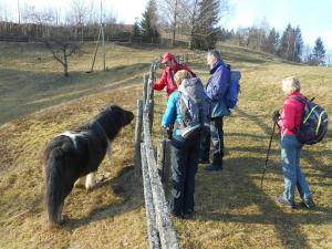 FormatFactoryDSCN9788