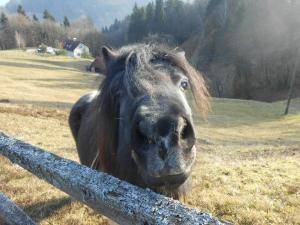 FormatFactoryDSCN9791