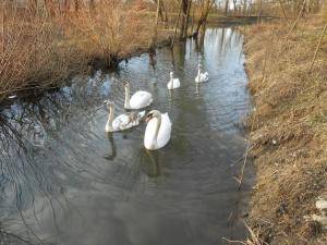 FormatFactoryDSCN9842