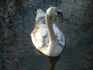 FormatFactoryDSCN9847