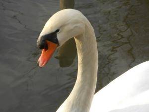 FormatFactoryDSCN9848