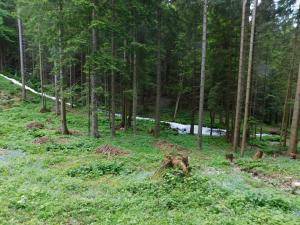 FormatFactoryDSCN4835