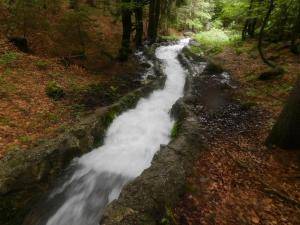 FormatFactoryDSCN4851