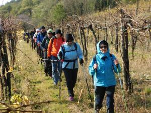 FormatFactoryDSCN6403