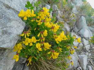 FormatFactoryDSCN1063