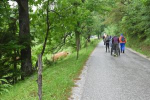 inplaninec26-D.Rotar 