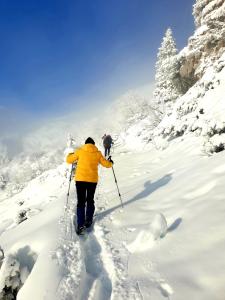 Resized 20221218 203818