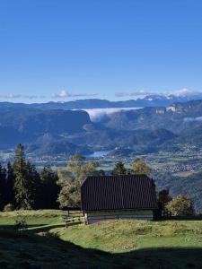 Resized 20241006 090051 1728384550766