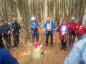 13054903 10201744438848194 207217881 o    