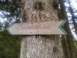 13059449 10201744403727316 583672135 n (1)    