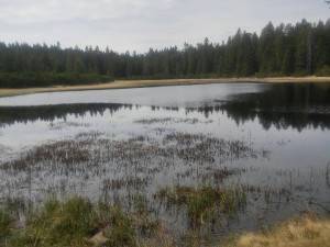 13059720 10201744405327356 1392672662 n    