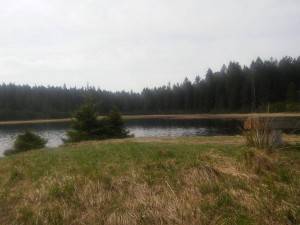 13105905 10201744439728216 1461861987 o   