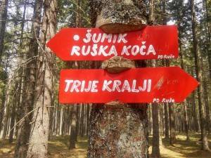 13106017 10201744446128376 1531253801 o   