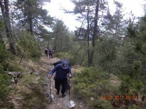 DSCN1963