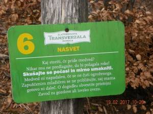 DSCN1971