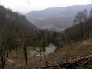 DSCN2483
