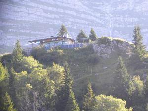 DSCN3927