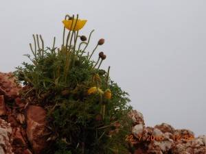 DSCN5544