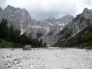 DSCN5629 (1)