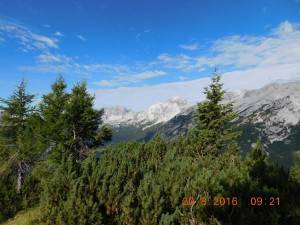 DSCN6072