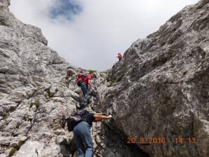 DSCN6136