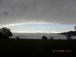 DSCN9074